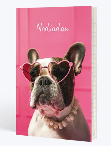 Nodiadau
