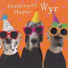 Penblwydd Hapus Ŵyr