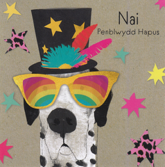 Penblwydd Hapus Nai
