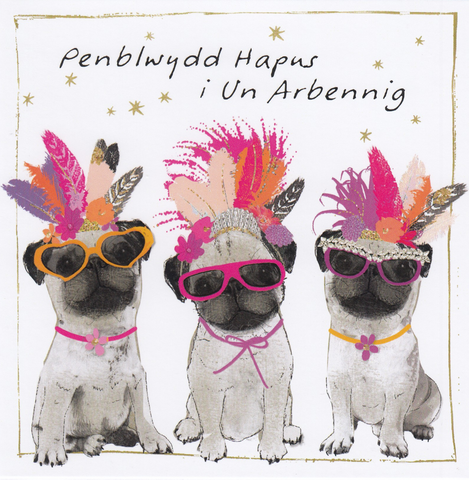 Penblwydd Hapus i Un Arbennig