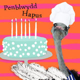 Magned Penblwydd Hapus Magnet WMGFAN002