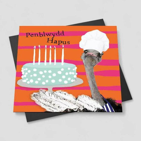 Penblwydd Hapus (Magnet)|Penblwydd Hapus (Magned)