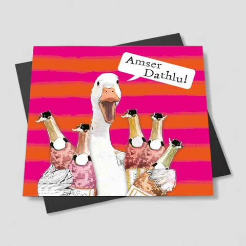 Amser Dathlu! (Magnet)|Amser Dathlu! (Magned)