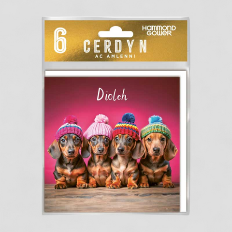 Diolch (Pack) | Pecyn Cardiau Diolch