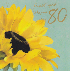 Penblwydd Hapus 80