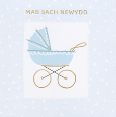 Mab Bach Newydd
