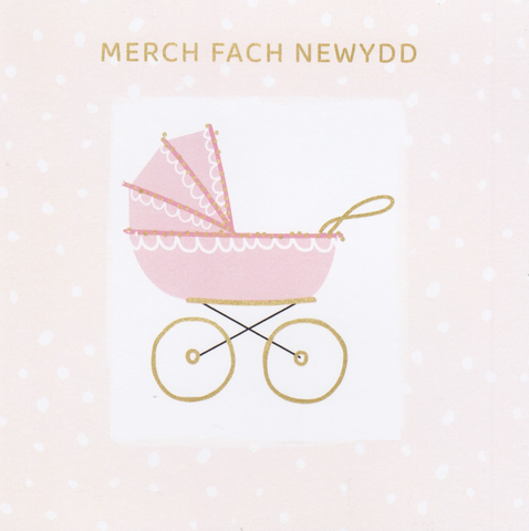 Merch Fach Newydd