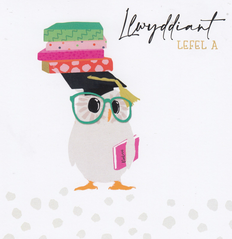 Llwyddiant Lefel A