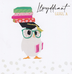Llwyddiant Lefel A