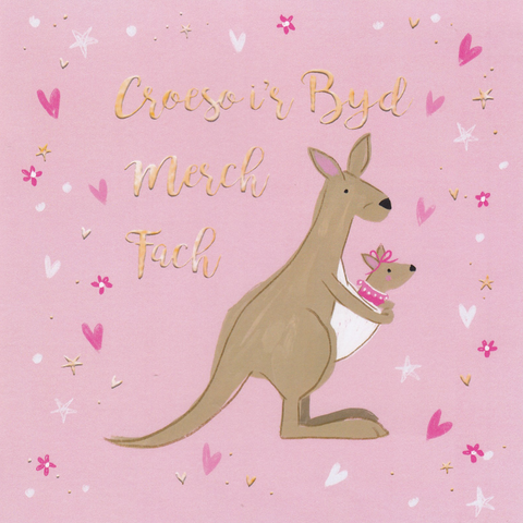 Croeso i'r Byd Merch Fach