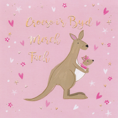 Croeso i'r Byd Merch Fach