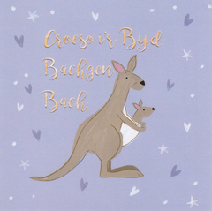 Croeso i'r Byd Bachgen Bach