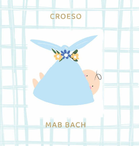 Croeso Mab Bach