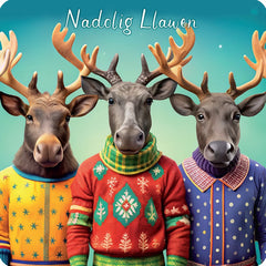 Nadolig Llawen (Coaster)|Nadolig Llawen (Mat Diod)