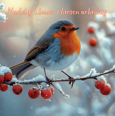 Nadolig Llawen i Berson Arbennig