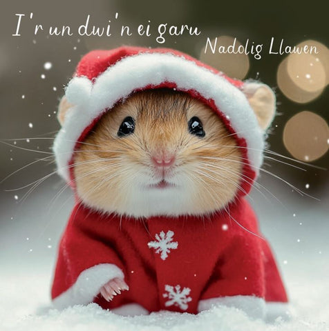 I'r un dwi'n ei garu, Nadolig Llawen