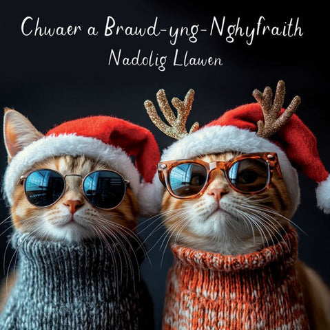 Chwaer a Brawd-yng-Nghyfraith, Nadolig Llawen