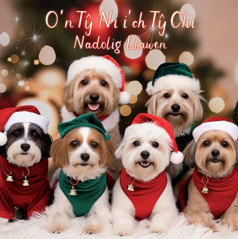 O'n Ty Ni i'ch Ty Chi, Nadolig Llawen