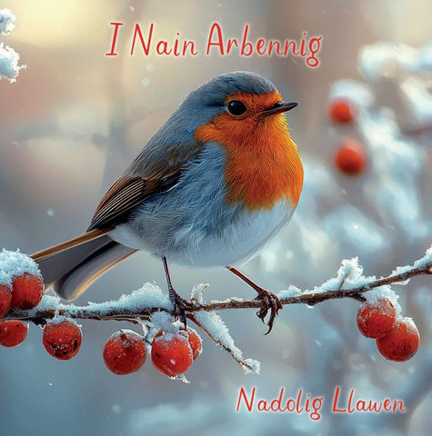 I Nain Arbennig, Nadolig Llawen