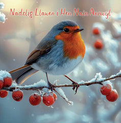 Nadolig Llawen i Hen Nain Annwyl