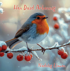 Hen Daid Arbennig, Nadolig Llawen