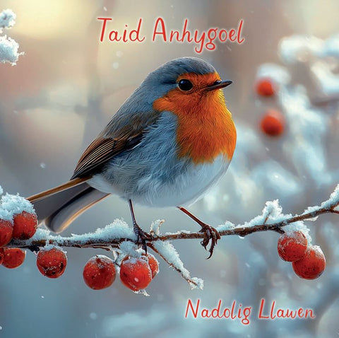 Taid Anhygoel, Nadolig Llawen