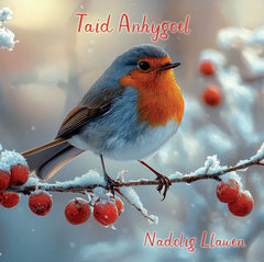 Taid Anhygoel, Nadolig Llawen
