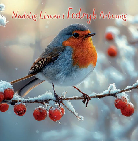 Nadolig Llawen i Fodryb Arbennig