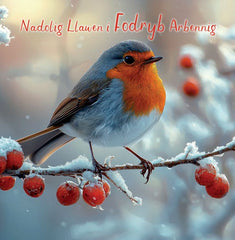 Nadolig Llawen i Fodryb Arbennig