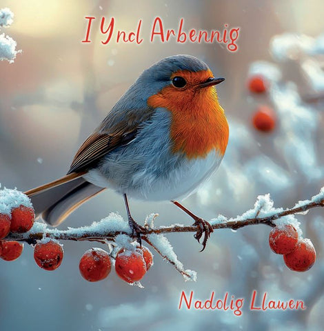 I Yncl Arbennig, Nadolig Llawen