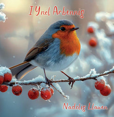 I Yncl Arbennig, Nadolig Llawen