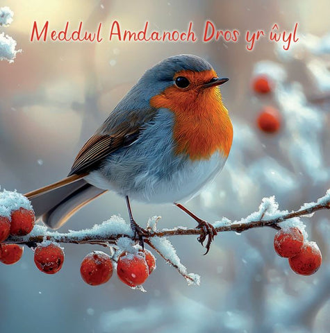 Meddwl Amdanoch Dros yr Wyl