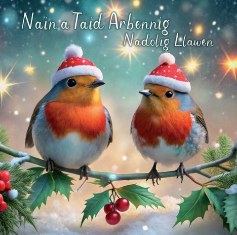 Nain a Taid Arbennig, Nadolig Llawen