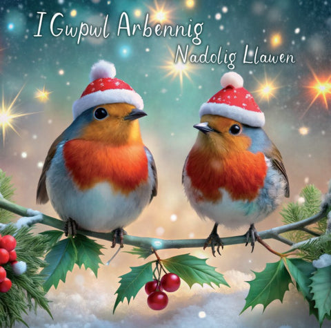 I Gwpwl Arbennig, Nadolig Llawen