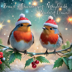 Brawd a Chwaer-yng-Nghyfraith, Nadolig Llawen