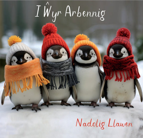 I Wyr Arbennig, Nadolig Llawen