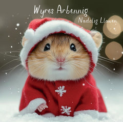 Wyres Arbennig, Nadolig Llawen