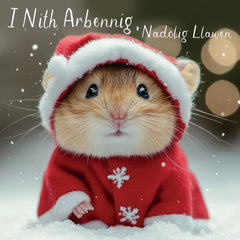 I Nith Arbennig, Nadolig Llawen