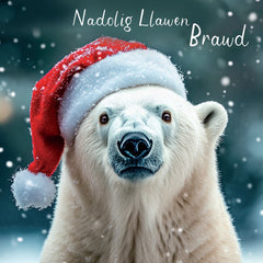 Nadolig Llawen Brawd