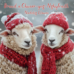 Brawd a Chwaer-yng-Nghyfraith, Nadolig Llawen