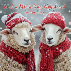 Mab a Merch-yng-Nghyfraith, Nadolig Llawen
