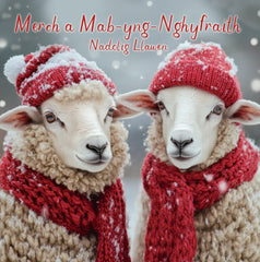 Merch a Mab-yng-Nghyfraith, Nadolig Llawen