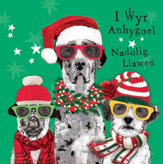 I Ŵyr Anhygoel, Nadolig Llawen