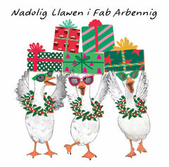 Nadolig Llawen i Fab Arbennig