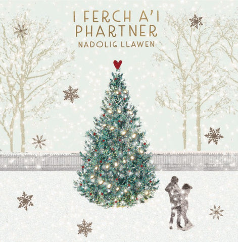 I Ferch a'i Phartner, Nadolig Llawen