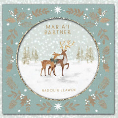 Mab a'i Bartner, Nadolig Llawen