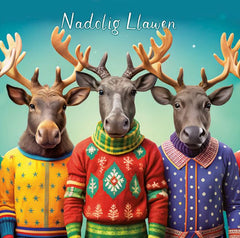 Nadolig Llawen (pack) |Nadolig Llawen (pecyn)