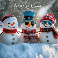 Nadolig Llawen (pack) |Nadolig Llawen (pecyn)