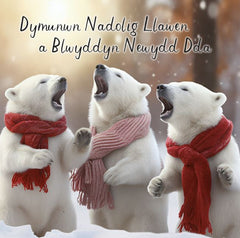 Dymunwn Nadolig Llawen a Blwyddyn Newydd Dda (pack) |Nadolig Llawen a Blwyddyn Newydd Dda (pecyn)