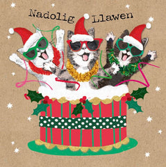 Nadolig Llawen (pack) |Nadolig Llawen (pecyn)